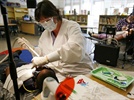 Dental Abuse Seen Driven By Private Equity Investments