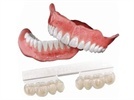 Veracia SA Denture Teeth
