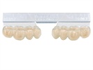 Veracia SA Denture Teeth