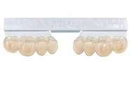Veracia SA Denture Teeth