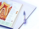 The Mindset of the Future Dentist: How Dental Students Learn About Technologies and Materials