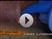 Video: AMD LASERS - Frenectomy With Dr. Jesse