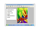 Learning From Experience With Digital Imaging