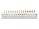 The Application of Color Science to Dental Color Matching