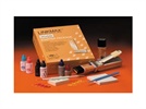 Linkmax Paste Pak Dual-Cure Adhesive Cement