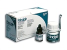 Principle Compomer Cement