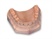 Lab Gypsum Materials