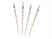 Endodontic Paper Points