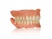 Denture Teeth