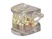 Dental Teaching Models