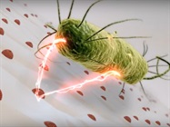 Nobio Antimicrobial Technology to be Embedded in Dental Restoratives