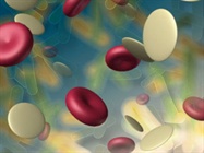 Platelet Enriched Plasma Setups