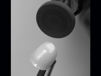 CoreMaster/CoreMaster Coarse Polisher